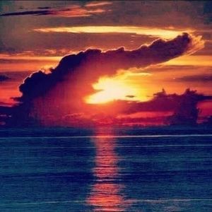 Meet your Posher, Bird